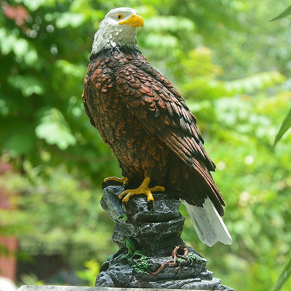 害鳥対策 30cm級 鷹 ホーク 置物 スズメ カラス ムクドリ ハト
