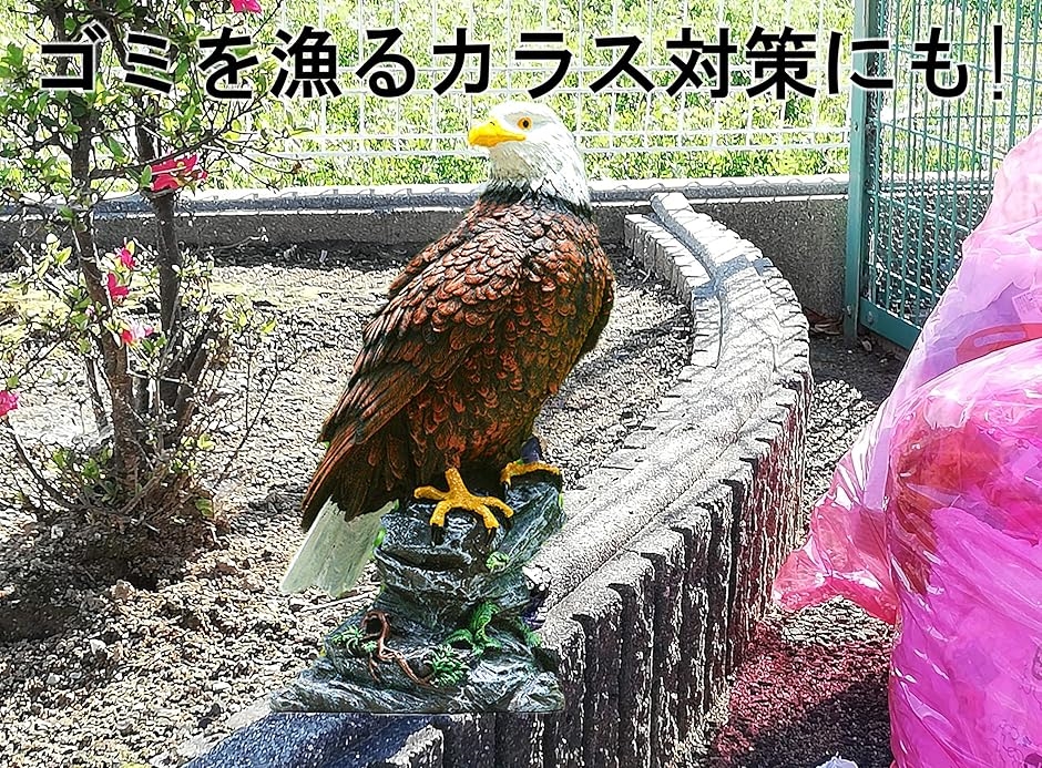 害鳥対策 30cm級 鷹 ホーク 置物 スズメ カラス ムクドリ ハト