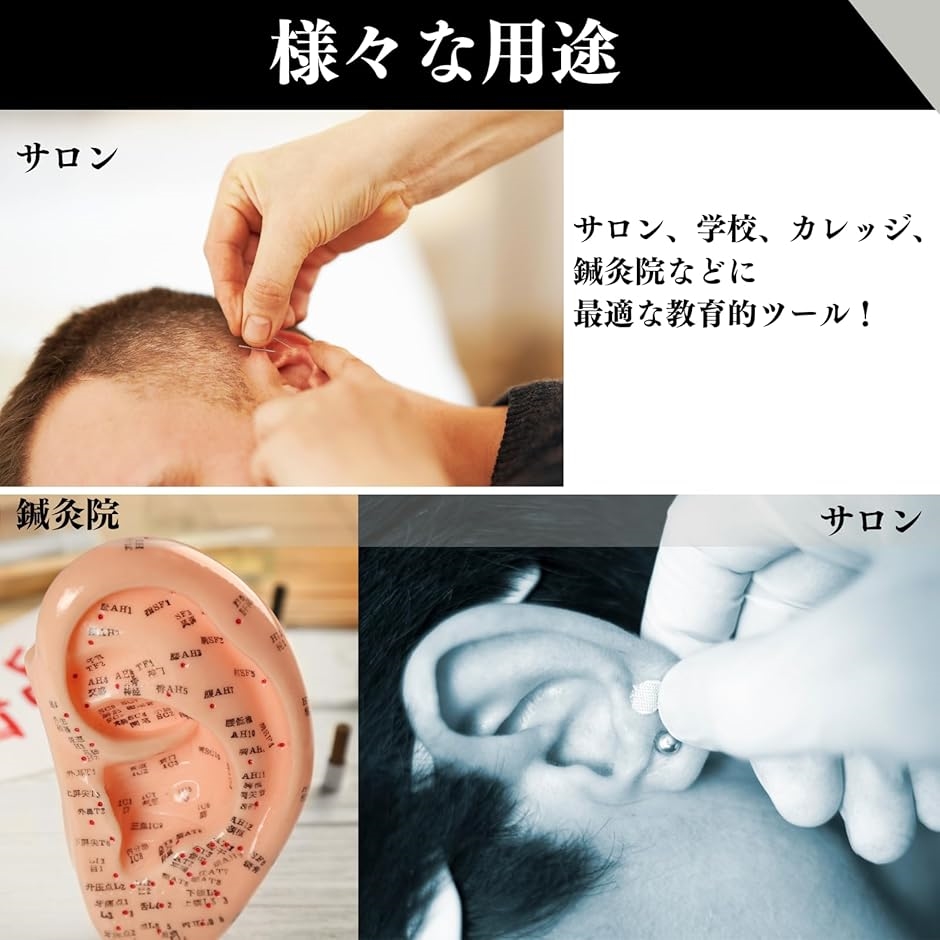 耳ツボ 模型 立体模型 耳ツボ模型 耳つぼシール 17cm 耳つぼ模型 耳