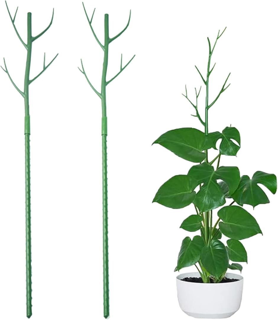 支柱 観葉植物 園芸 2本セット 添え木 支え イボ竹 観葉植物の支柱