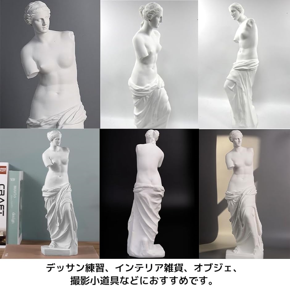 ミロのヴィーナス（家具、インテリア用品）のおすすめ人気商品