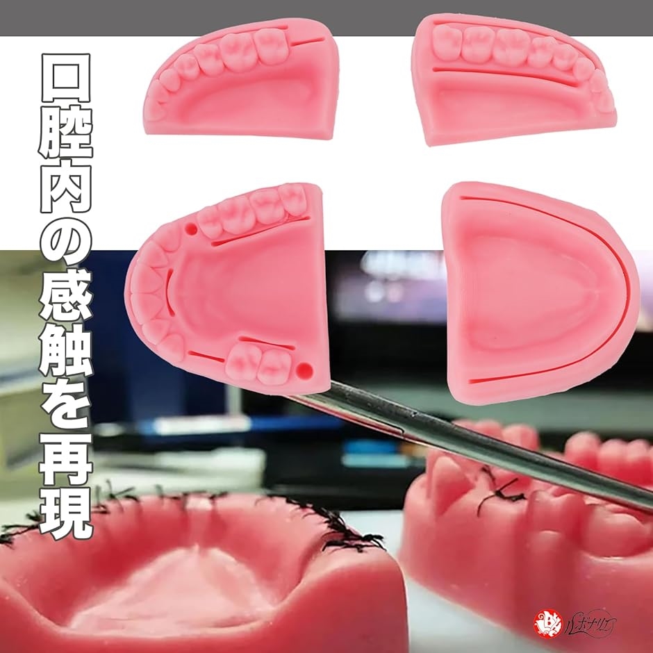 縫合練習キット 歯科 歯科縫合練習キット 経口縫合 縫合ツール 歯周