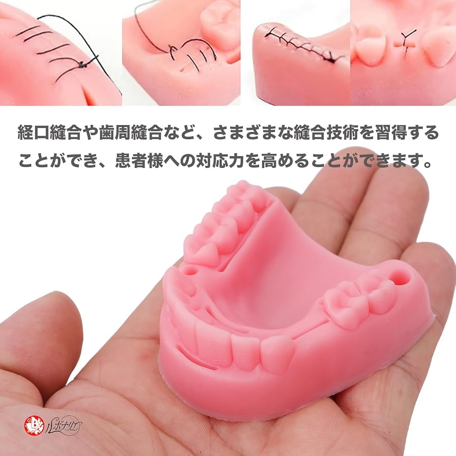 縫合練習キット 歯科 歯科縫合練習キット 経口縫合 縫合ツール 歯周