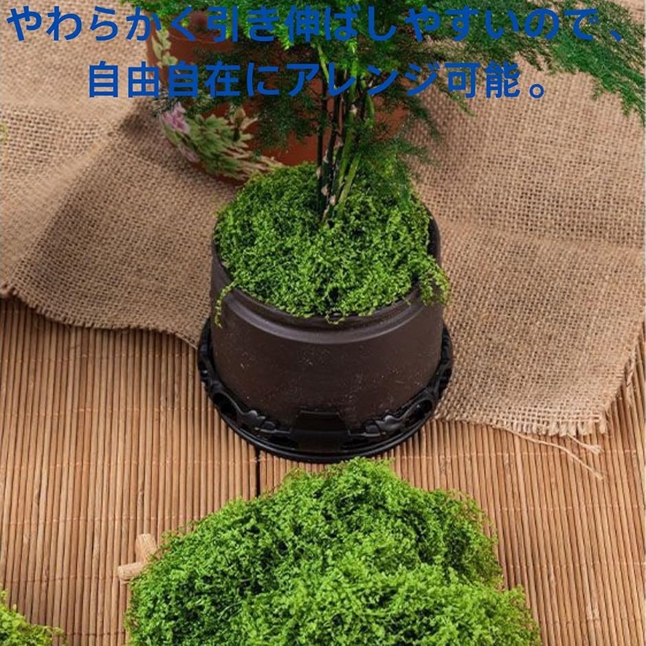 人工苔 フェイクモスグリーン ジオラマ フェイ...の詳細画像4