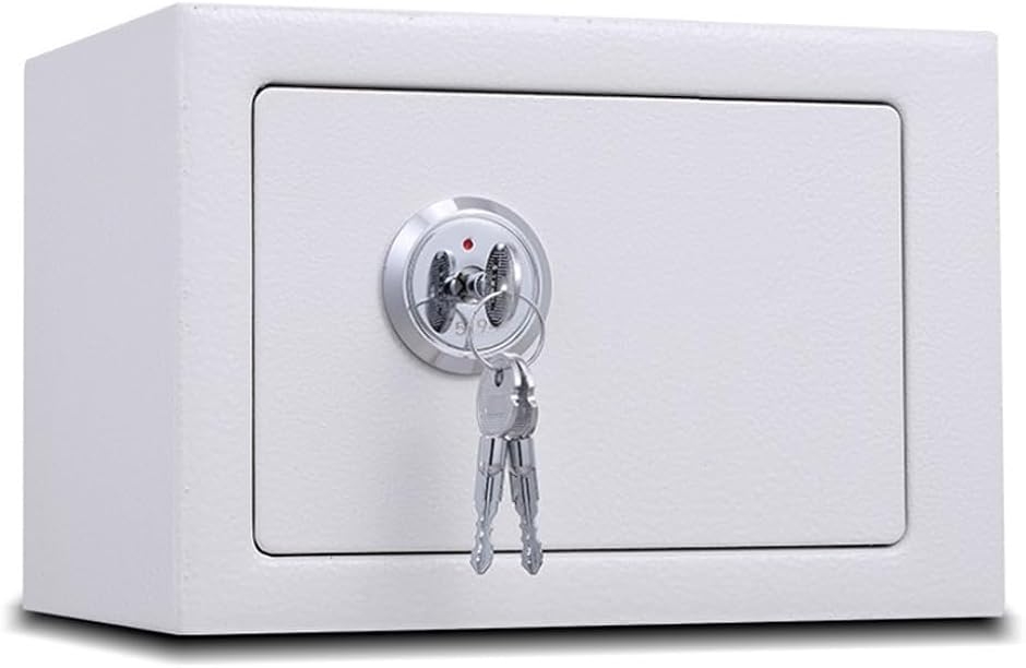 金庫家庭用 スチール製金庫 戸建て防犯用 シリンダー式 5L 23x17x17cm (ホワイト) | ブランド登録なし