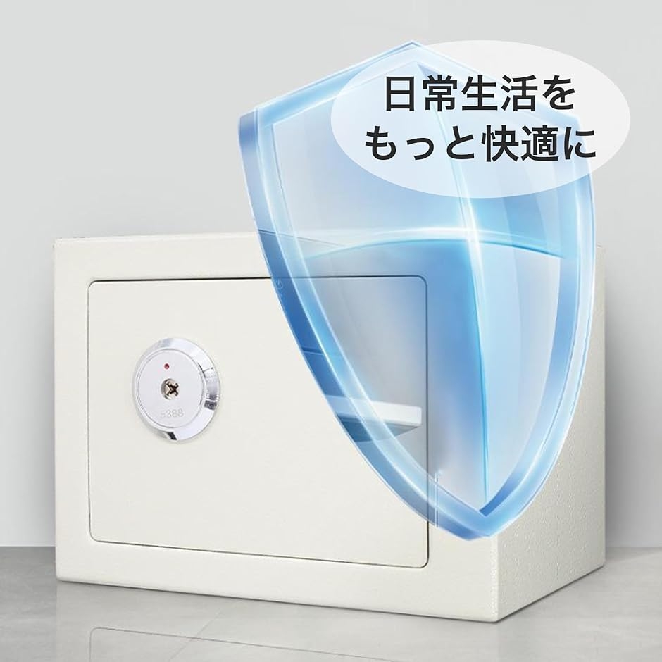 金庫家庭用 スチール製金庫 戸建て防犯用 シリンダー式 5L 23x17x17cm (ホワイト) | ブランド登録なし | 06