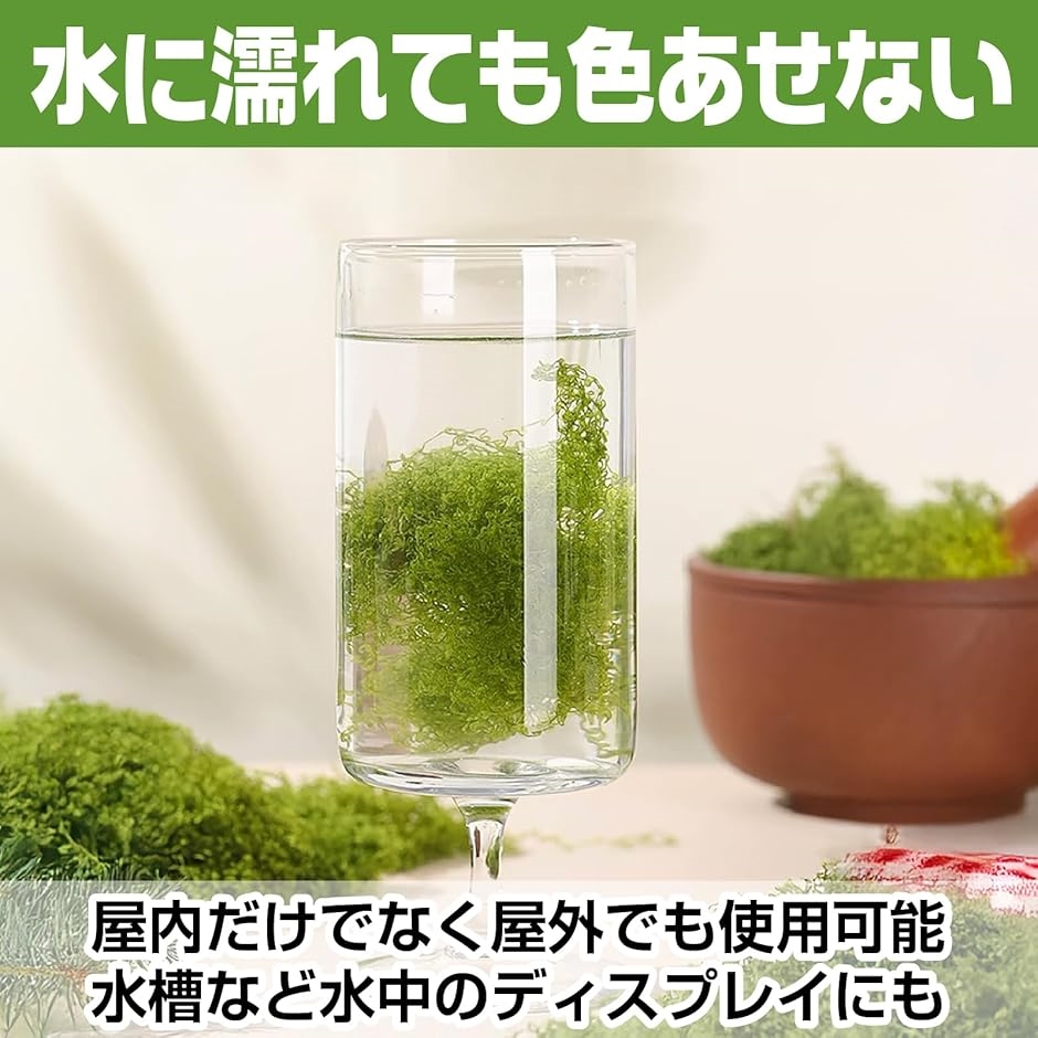 フェイク 苔 2色セット ジオラマ 草 盆栽 ...の詳細画像5