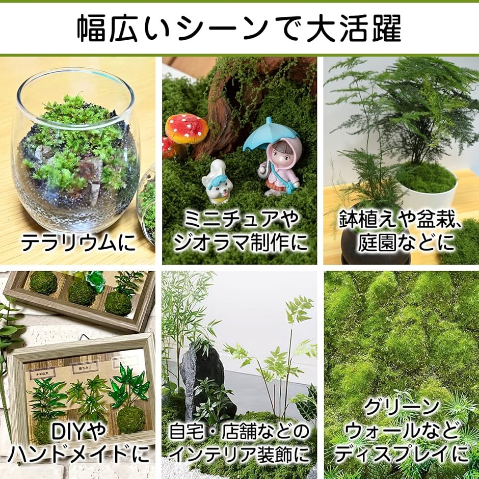 人工苔 フェイクグリーン ジオラマ 装飾 鉢植...の詳細画像2