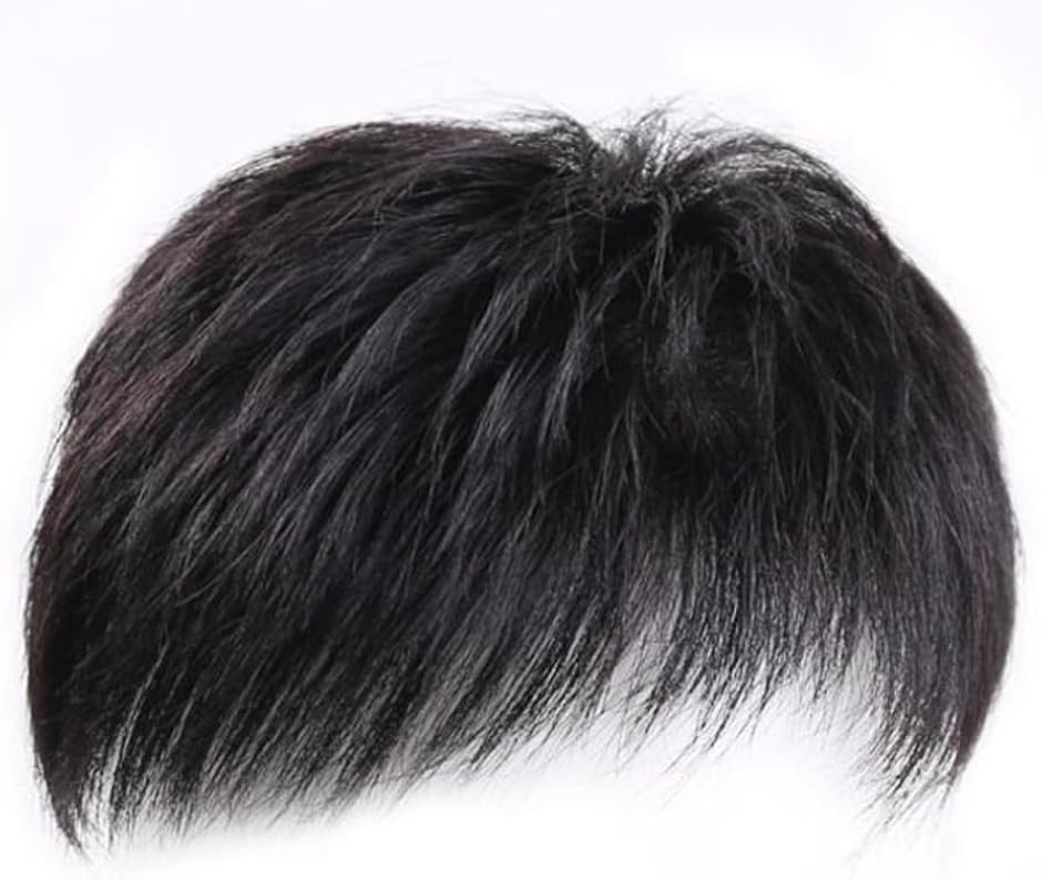 ナチュラル ウィッグ メンズ 軽やかな質感と自然なツヤ 耐熱 フル