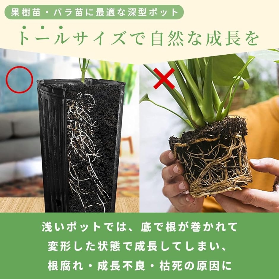 ポット 育苗ポット プランター 深型 ロング ポリポット 植木鉢