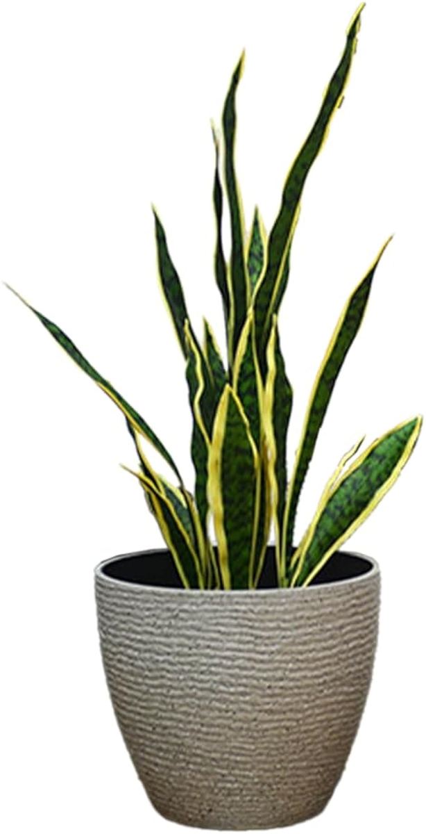 観葉植物 鉢 植木鉢 プラスチック 大型 おしゃれ 室内 プランター 軽量(ブラウン,  丸型)