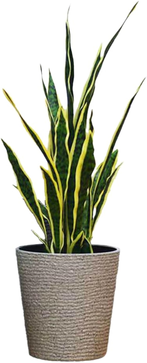 観葉植物 鉢 植木鉢 プラスチック 大型 おしゃれ 室内 プランター 軽量(ブラウン, 深型)