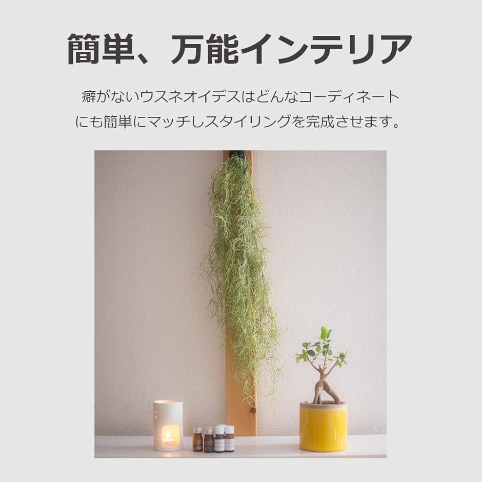 フェイクグリーン 壁掛け つり下げ エアプランツ 観葉植物 造花