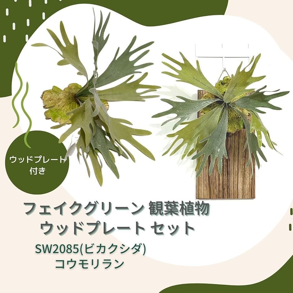 フェイクグリーン 観葉植物 ウッドプレート セ...の詳細画像1