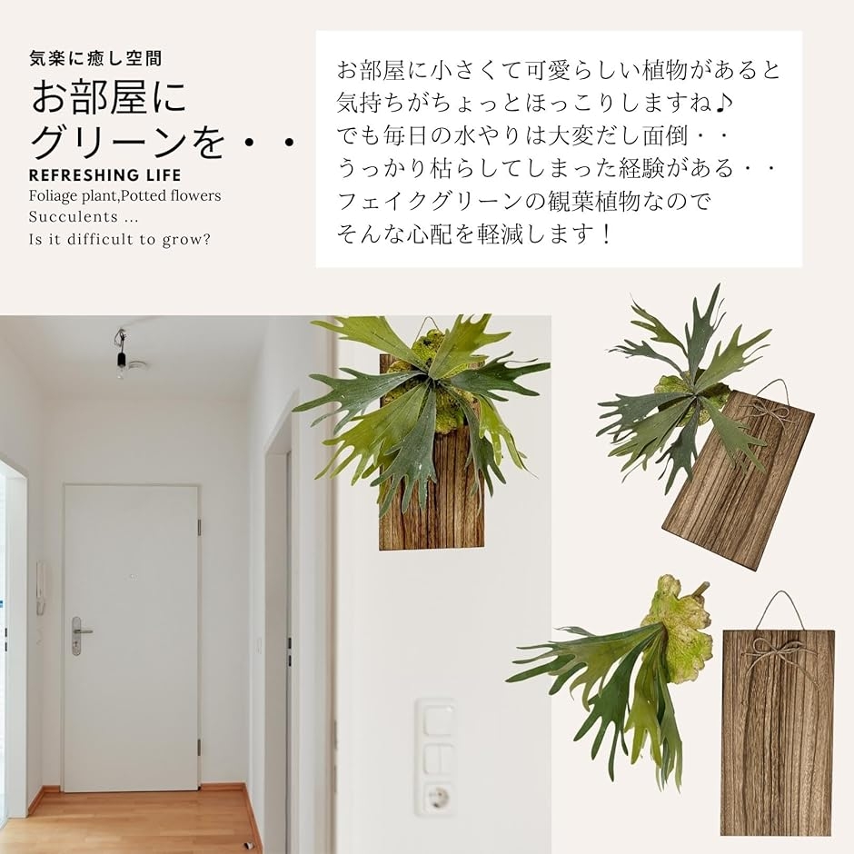 フェイクグリーン 観葉植物 ウッドプレート セ...の詳細画像3
