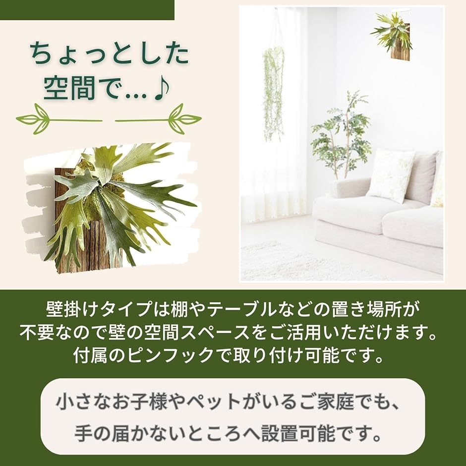 フェイクグリーン 観葉植物 ウッドプレート セ...の詳細画像4
