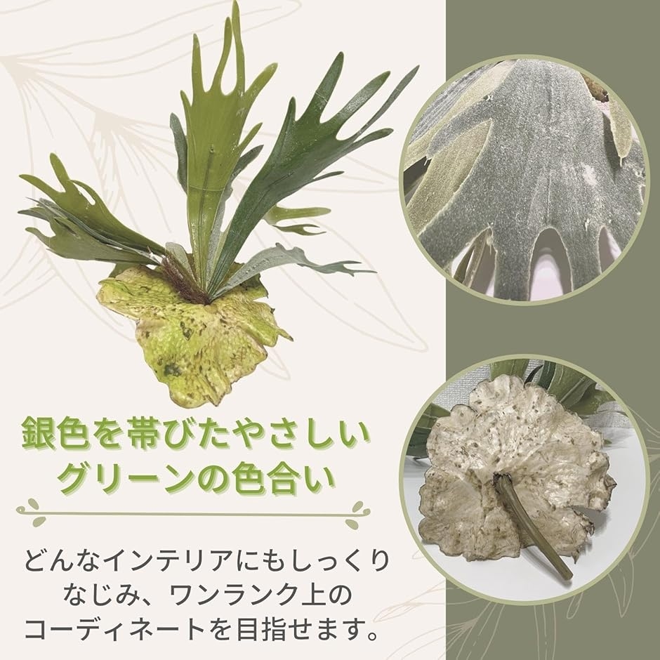 フェイクグリーン 観葉植物 ウッドプレート セ...の詳細画像5