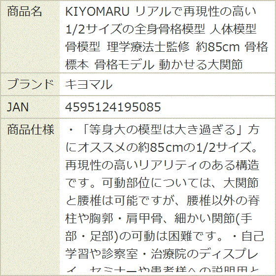 KIYOMARU リアルで再現性の高い1/2サイズの全身骨格模型 人体模型 骨