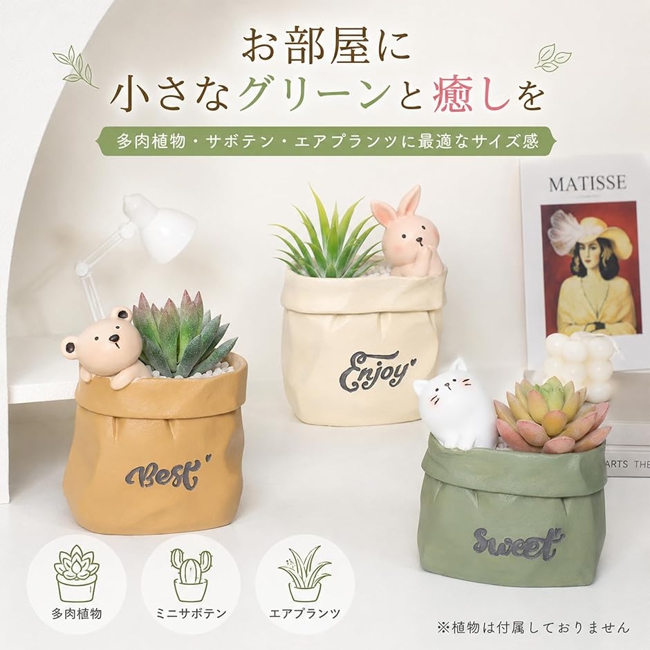アニマル 多肉植物 ポット 鉢 寄せ植え ミニ サボテン 観葉植物