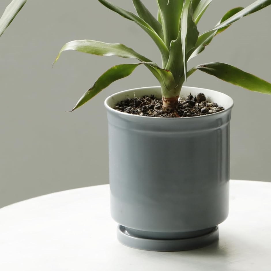 陶器製 10号 植木鉢 受け皿付き 日本製 植木鉢 受け皿付 10.5x11.5cm 3.5号 波佐見焼 (グレー, 10.5x11