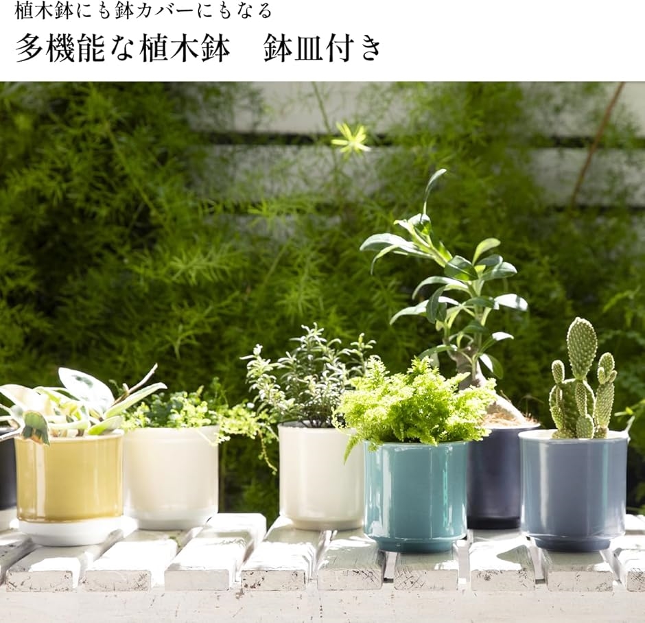 日本製 植木鉢 受け皿付 10.5x11.5cm 3.5号 波佐見焼 (グレー, 10.5x11