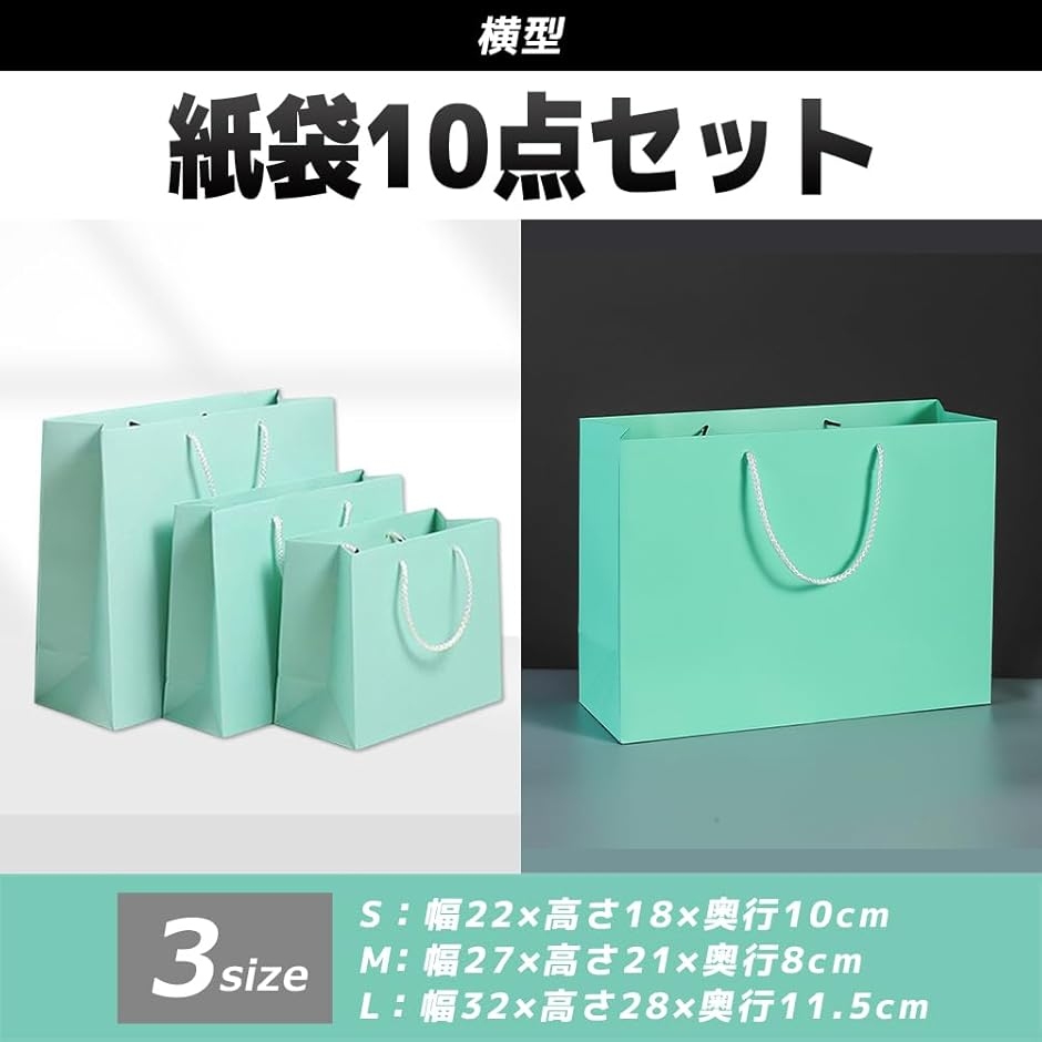 ギフトバッグ 紙袋 ラッピング 無地 手提げ 横型 シンプル 10点セット