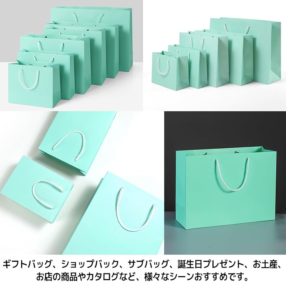ギフトバッグ 紙袋 ラッピング 無地 手提げ 横型 シンプル 10点セット