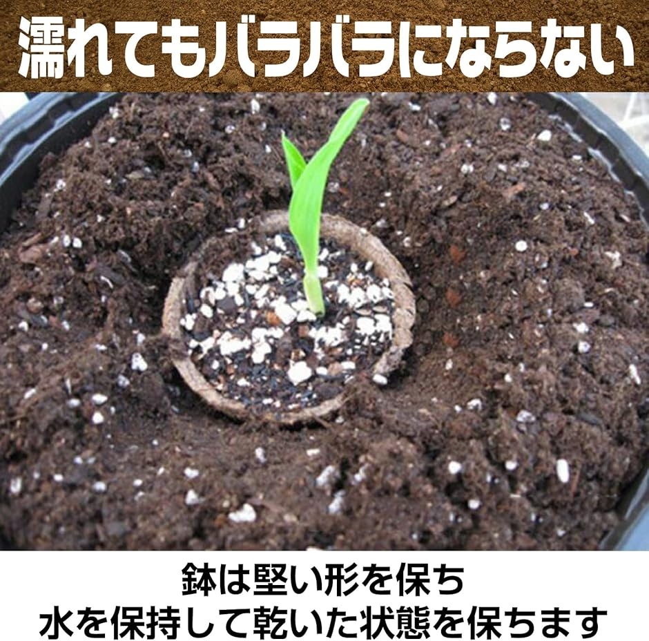 育苗ポット トレー トレイ カップ 箱 種まきポット 園芸 用品 農業 生