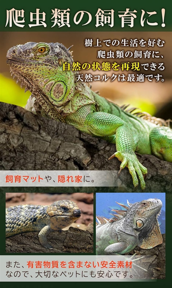 コルク樹皮 大きい 着生 ビカクシダ 蘭 エアプランツ 爬虫類 観葉植物