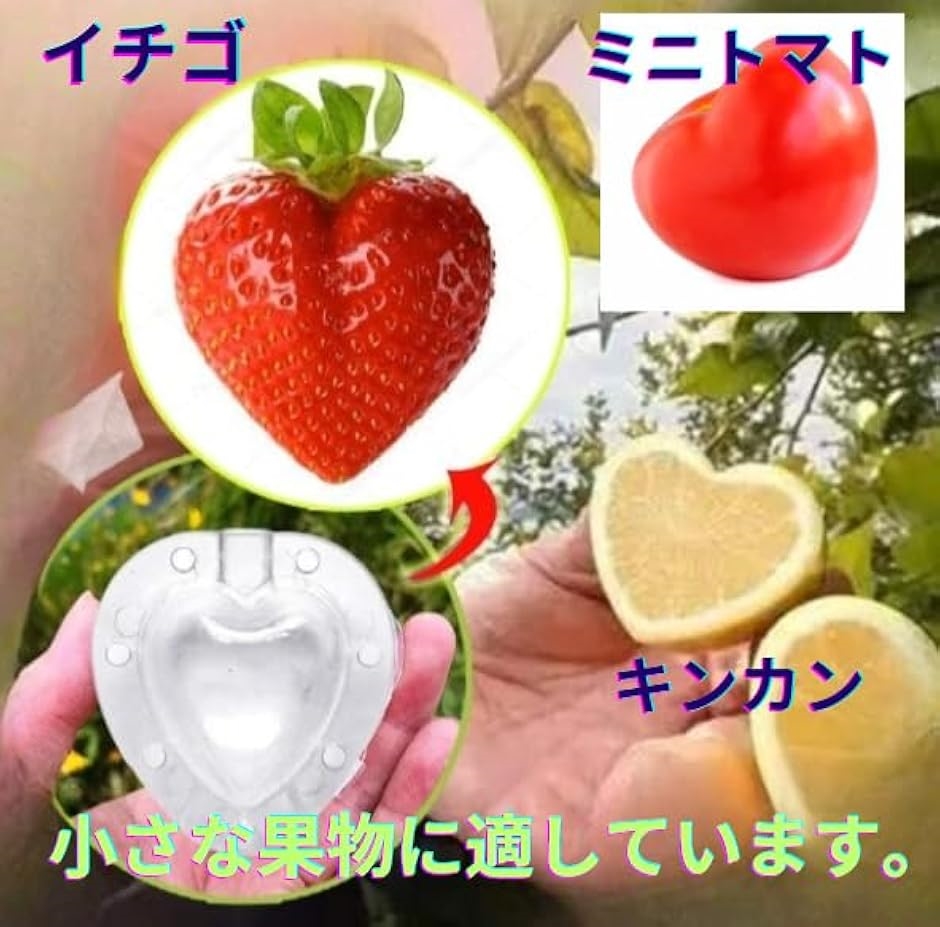 とちおとめ 苗のおすすめ人気商品一覧 通販 - Yahoo!ショッピング