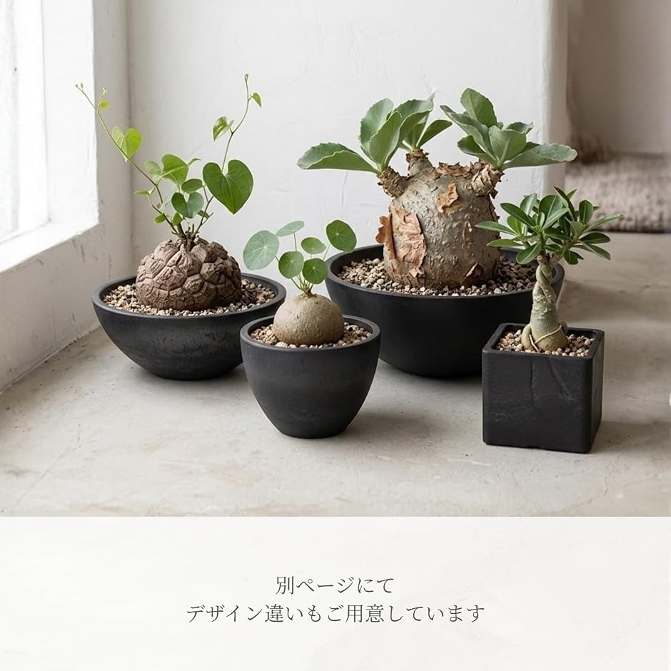 植木鉢 プラスチック 石目調 ストーン調 浅鉢 平鉢 軽量 ボウル