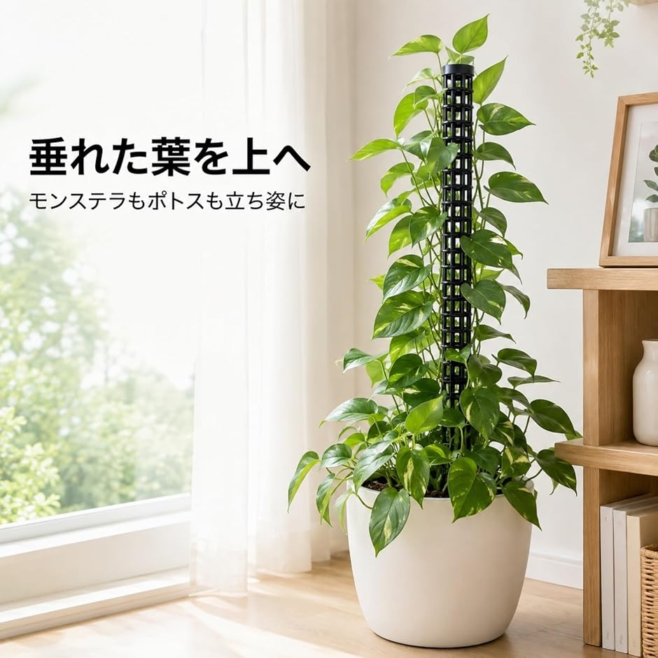 モスポール 観葉植物 支柱 4本セット 連結式 25cm 水苔 モンステラ