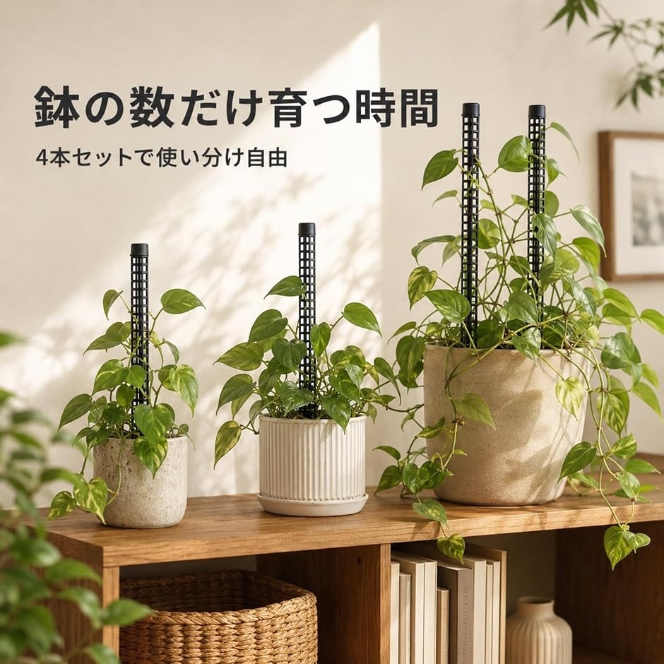 モスポール 観葉植物 支柱 4本セット 連結式 25cm 水苔 モンステラ