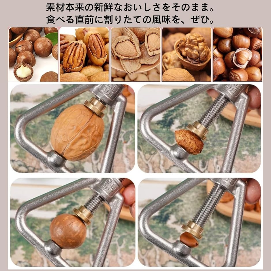 ナッツクラッカーの商品一覧 通販 - Yahoo!ショッピング