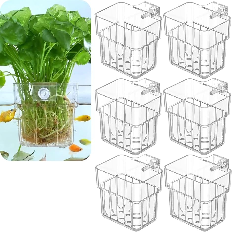 水槽プランター 植物ホルダー 透明カップ フック式 アクアポニックス