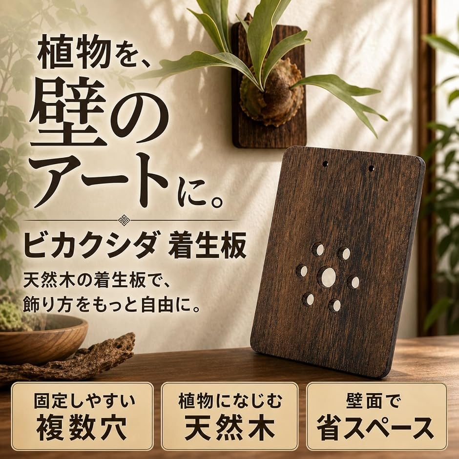ビカクシダ 板 コウモリラン 板付 着生板 壁掛け プレート 吊り下げ