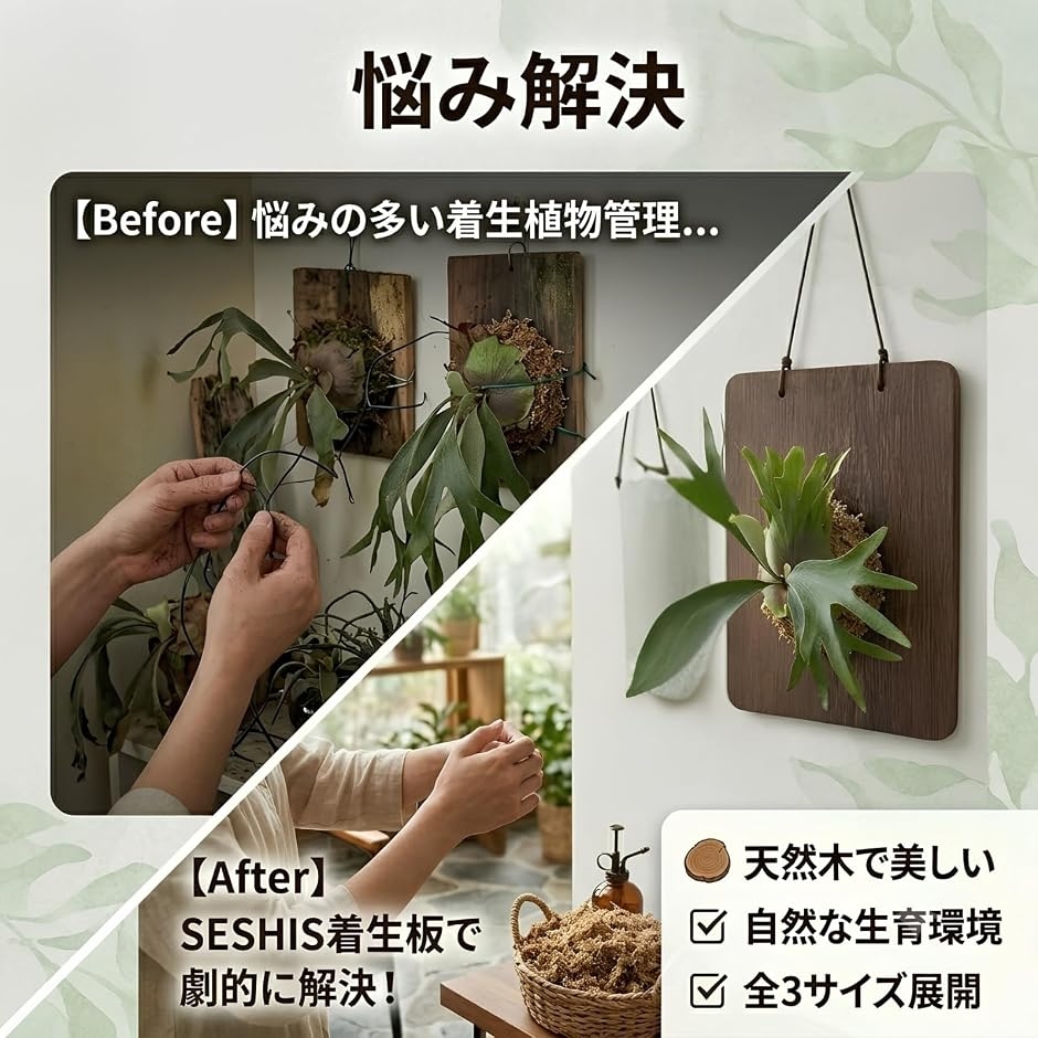 着生板 コウモリラン ビカクシダ 木製 プレート 観葉植物 MDM (木製