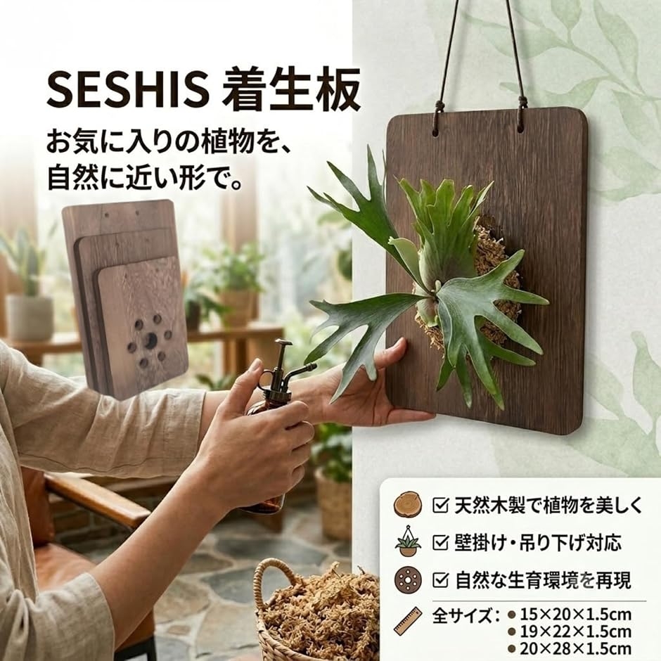 着生板 コウモリラン ビカクシダ 木製 プレート 観葉植物 MDM (木製