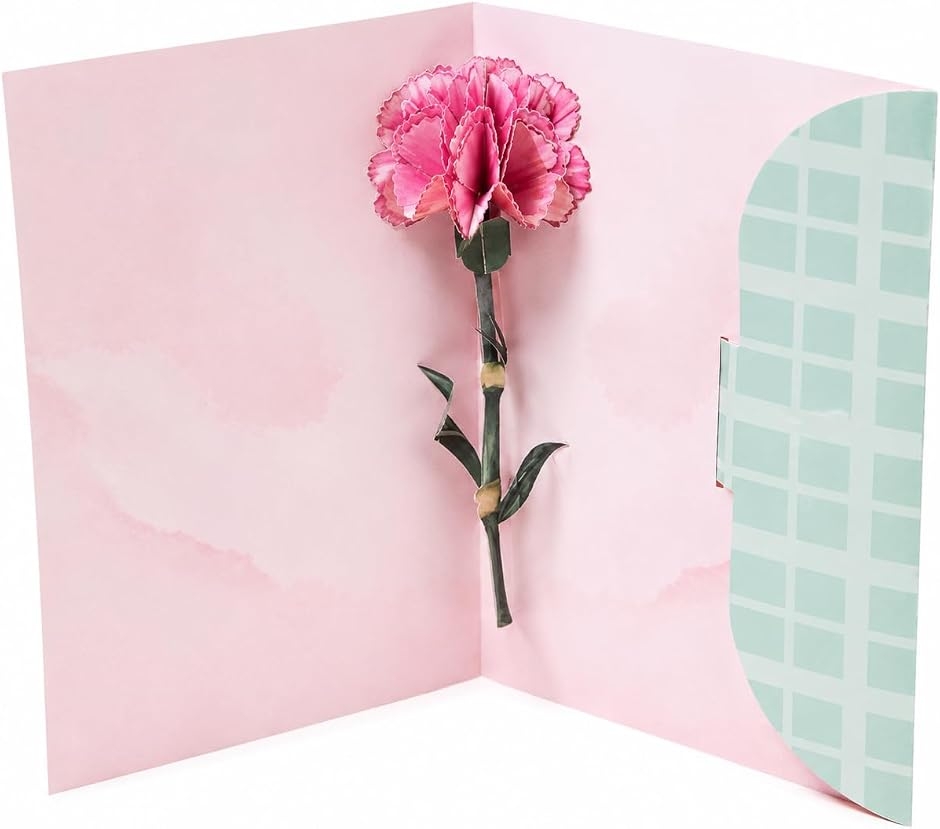 メッセージカード message card 母の日 誕生日 記念日 立体 グリーティングカード 花 (カーネーション)