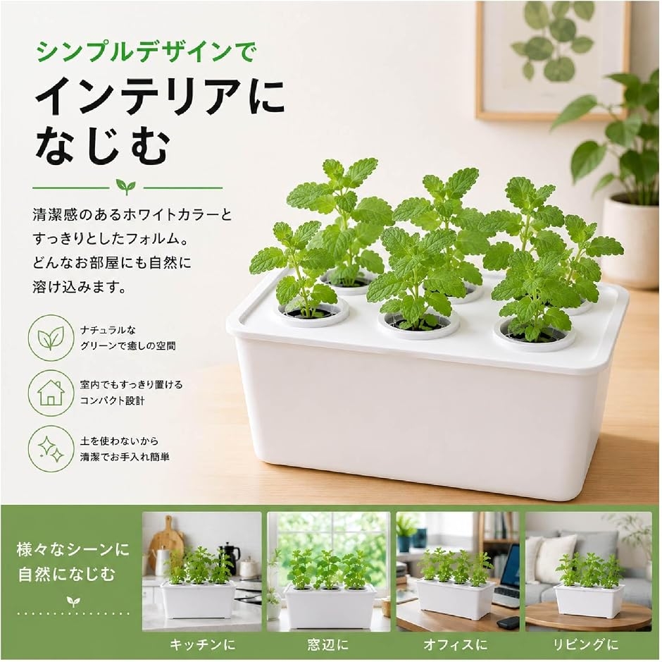水耕栽培 キット すいこう栽培 スプラウト 栽培容器 ポット 室内 家庭