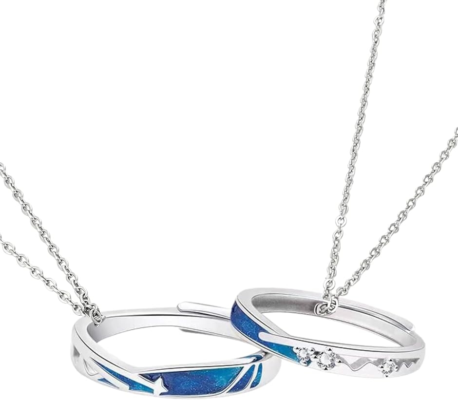 ペアネックレス 指輪 としても使える リング カップル お揃い フリーサイズ 大人向け アクセサリー ジュエリー (type - A -)