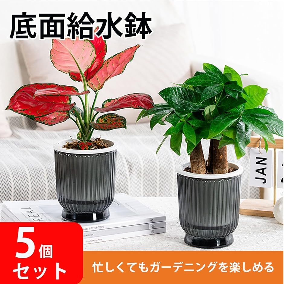 底面給水鉢 5個セット 植木鉢 観葉植物 給水ひも付き 貯水槽付 透明