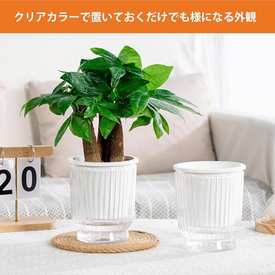 底面給水鉢 5個セット 植木鉢 観葉植物 給水ひも付き 貯水槽付 透明