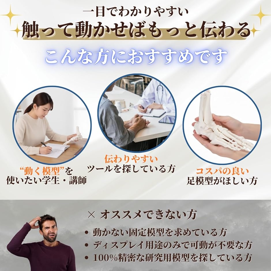動かして理解できる 足骨模型 可動式 伸縮コード連結 人体模型 骨格