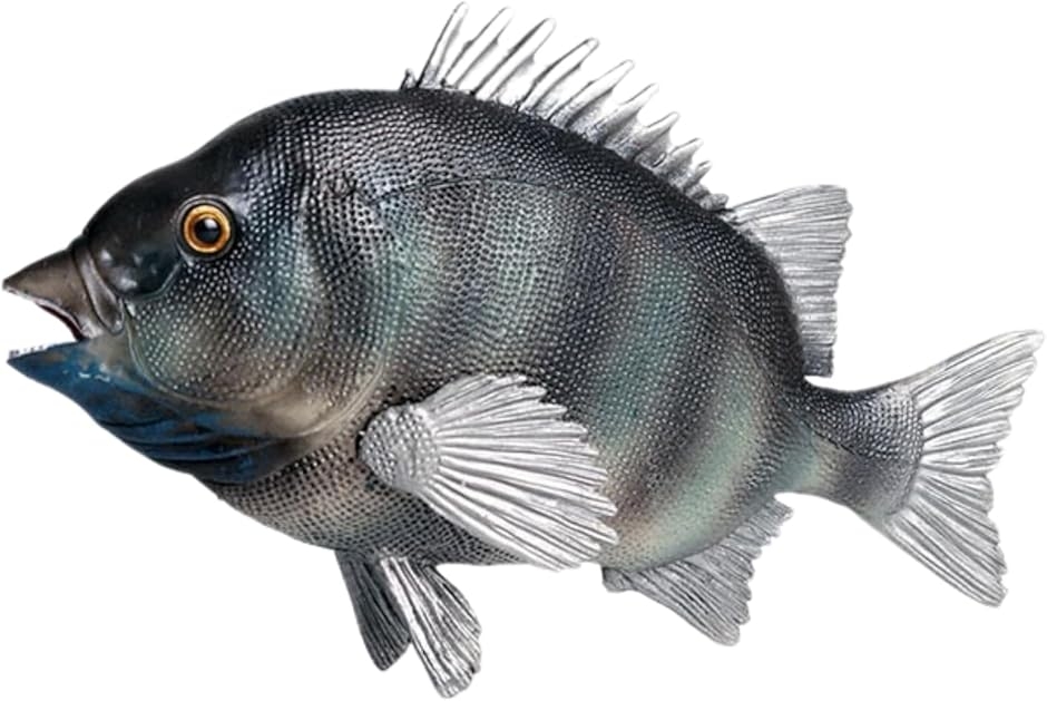 鯛 チヌ 魚 黒鯛 置物 置き物 インテリア オブジェ フィギュア 雑貨