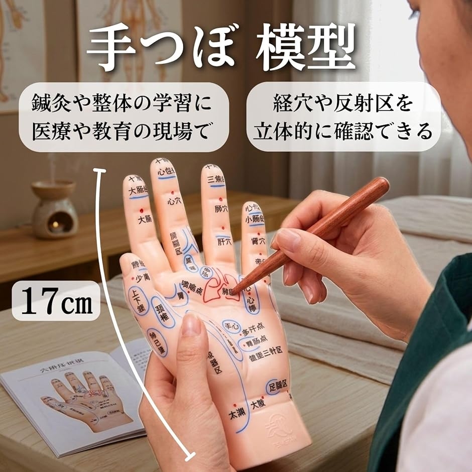 手つぼ 模型 ハンドマネキン 鍼灸 整体 反射区 教材 経穴 立体図解