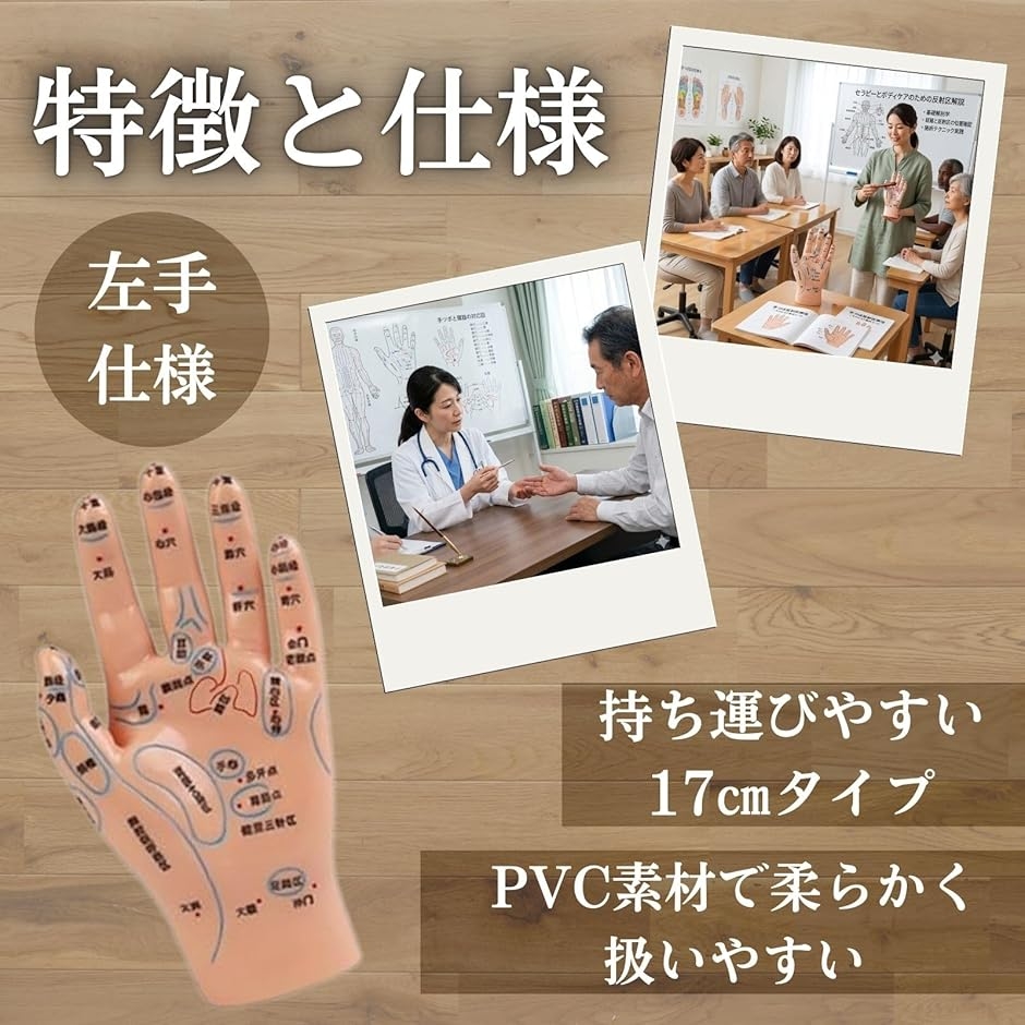 手つぼ 模型 ハンドマネキン 鍼灸 整体 反射区 教材 経穴 立体図解