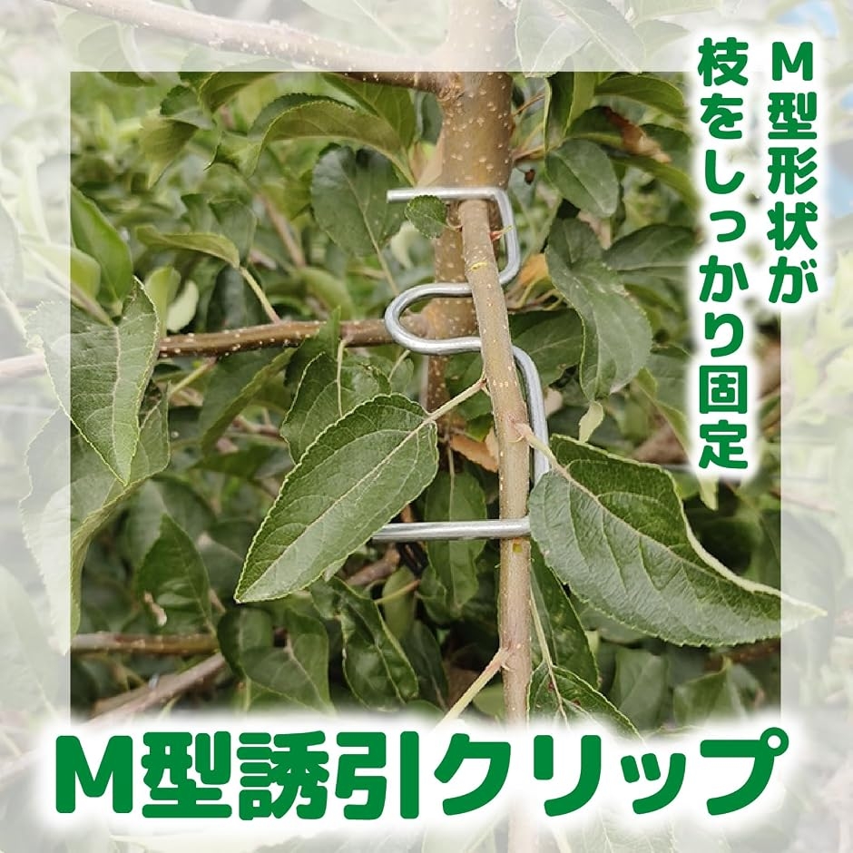 枝引き器 誘引クリップ 果樹 園芸 枝曲げ M型 盆栽 固定 農業資材 MDM