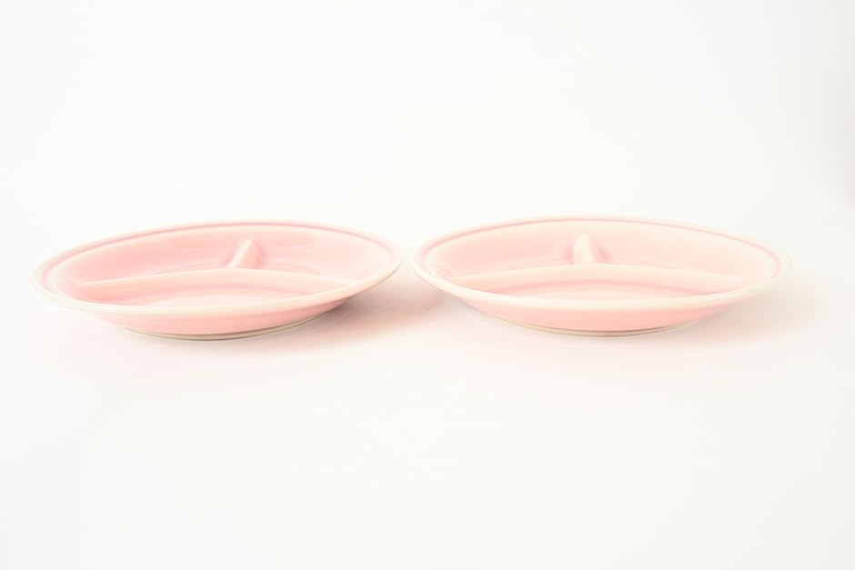 美濃焼 ランチプレート 仕切りプレート 2枚セット 貫入模様 24cm 日本
