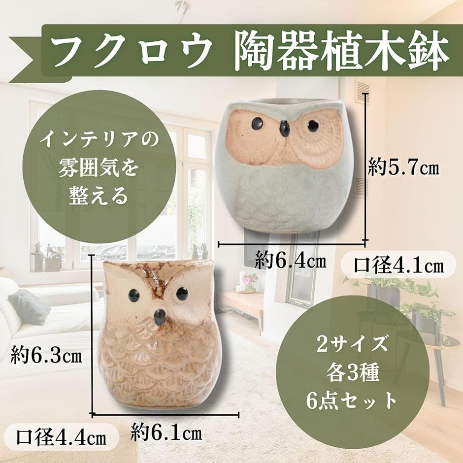 サボテン 鉢 植木鉢 可愛い フクロウ 陶器 6点セット 小さい ミニ
